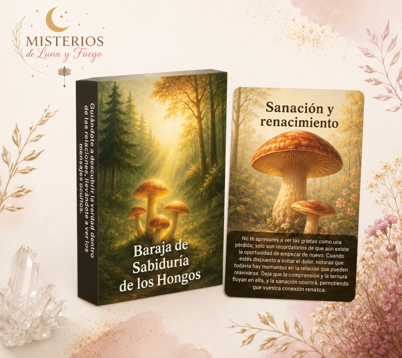 Oráculo de la sabiduría los Hongos